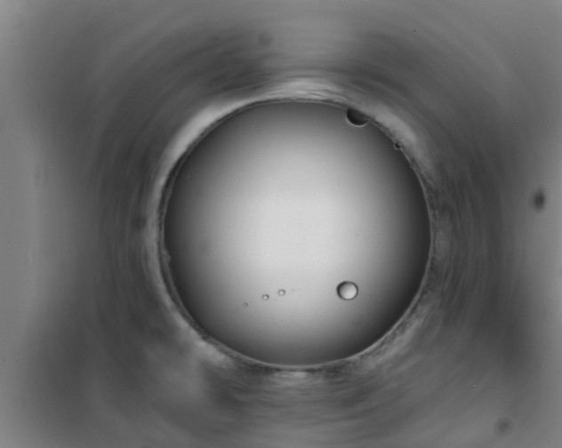 X0000101091478200807031715