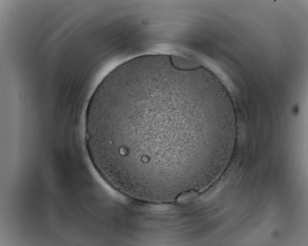 X0000101091479200807031715