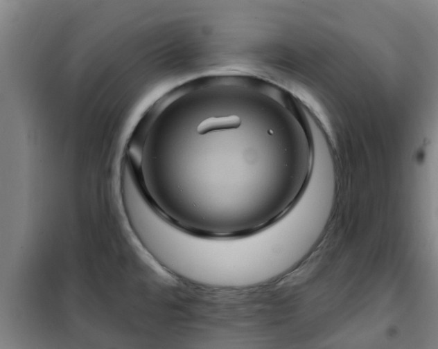 X0000101091480200807031715