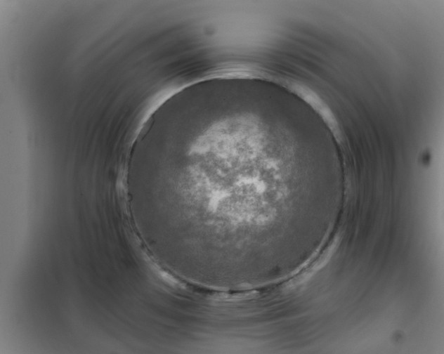 X0000101091481200807031715