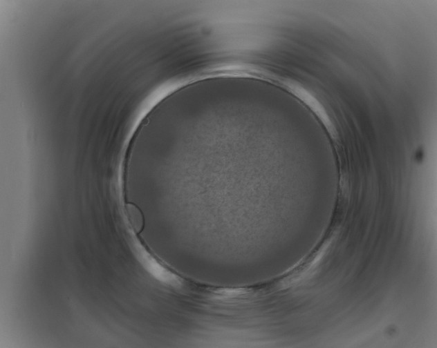 X0000101091482200807031715