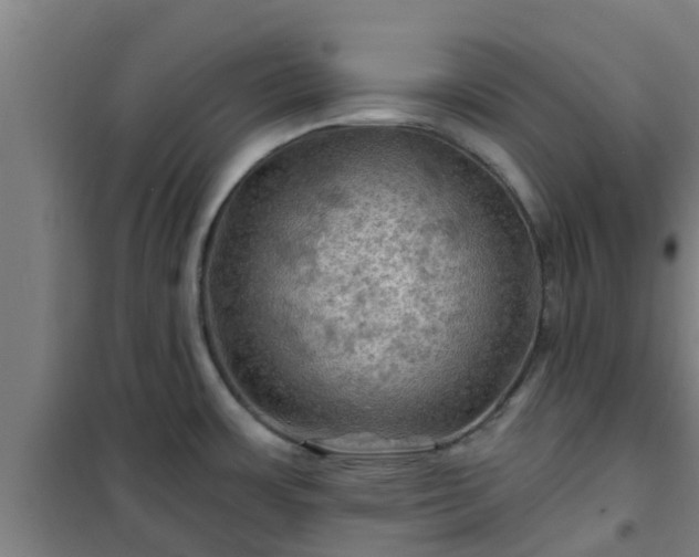 X0000101091483200807031715