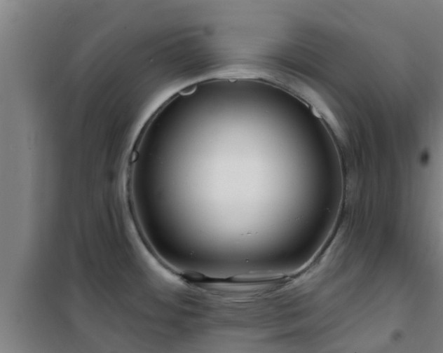 X0000101091484200807031715