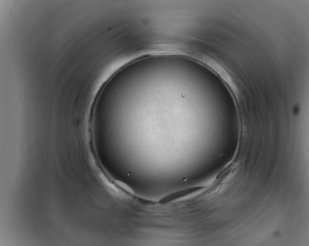 X0000101091485200807031714