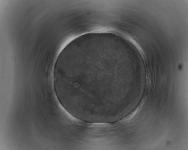 X0000101091487200807031714