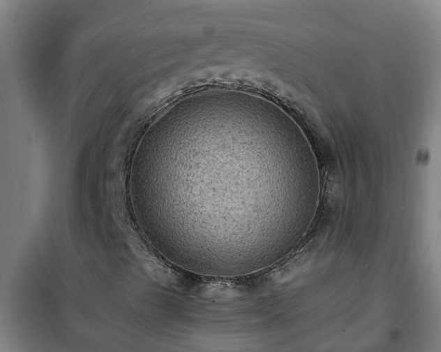 X0000101091489200807031714