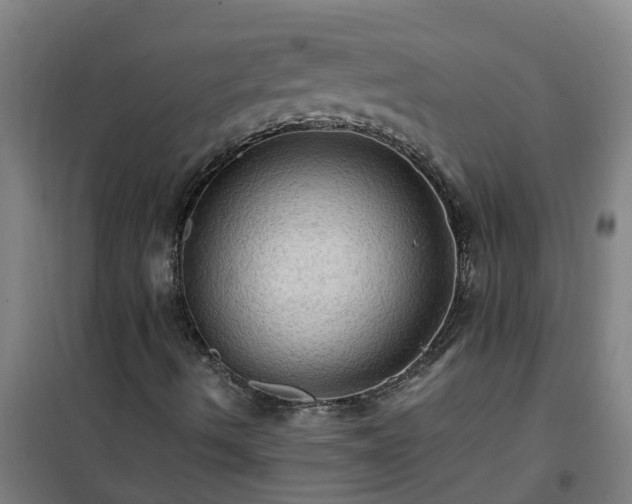 X0000101091490200807031714