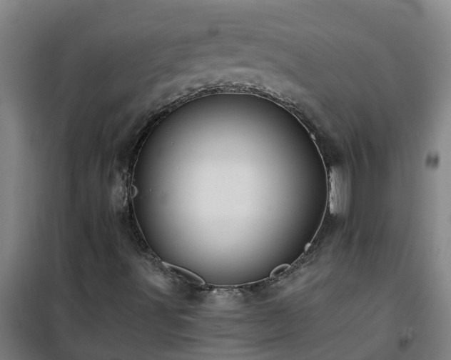 X0000101091491200807031714