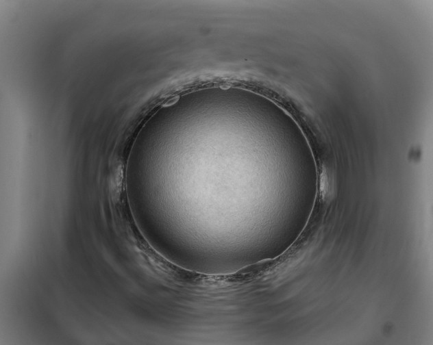 X0000101091492200807031714