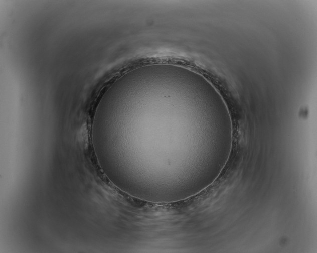 X0000101091493200807031714