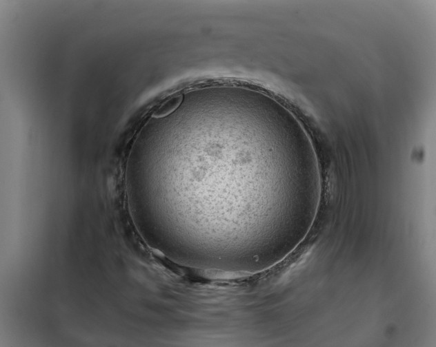 X0000101091494200807031714