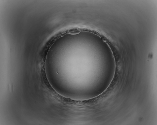 X0000101091495200807031714