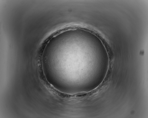 X0000101091496200807031714