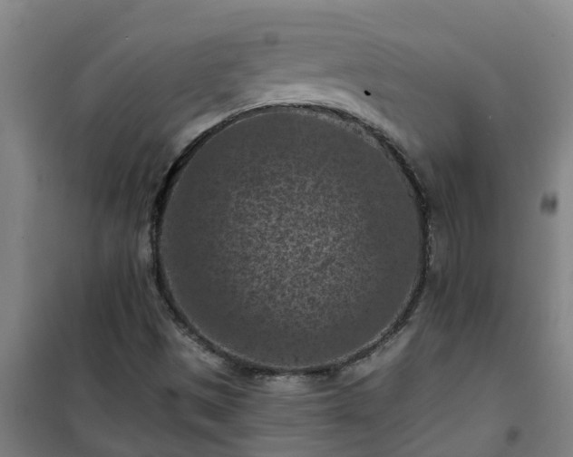 X0000101091497200807031714