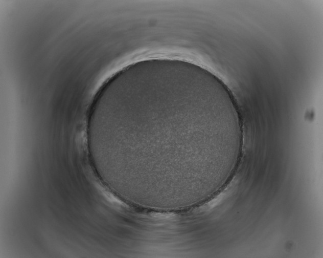 X0000101091498200807031714