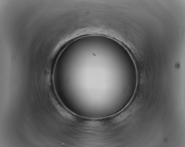 X0000101091499200807031714