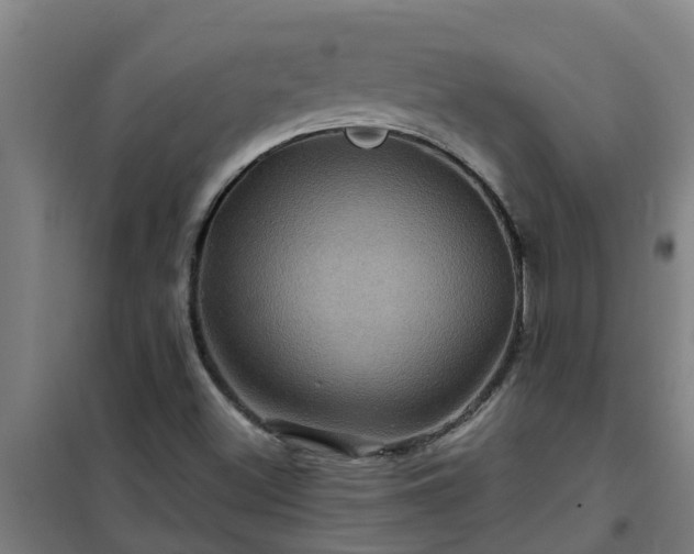 X0000101091500200807031714