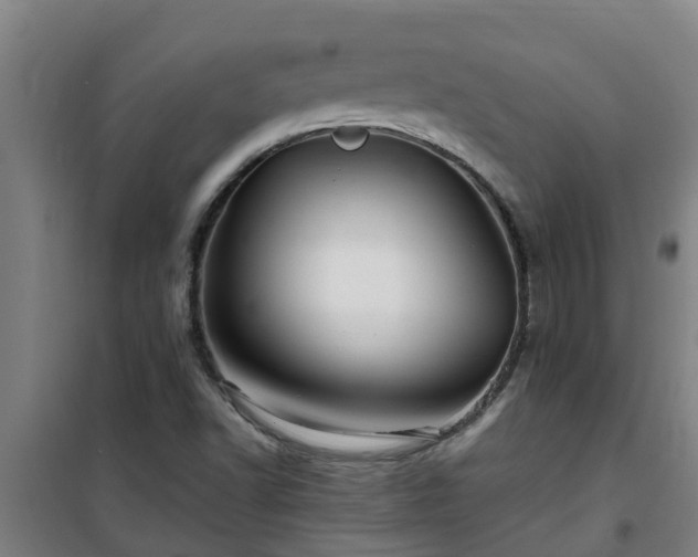 X0000101091502200807031714