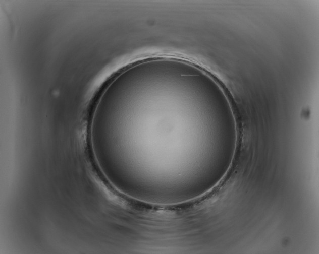 X0000101091503200807031714