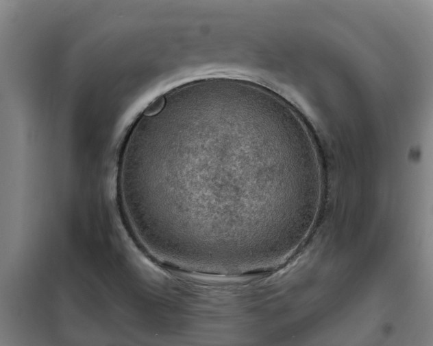 X0000101091504200807031714