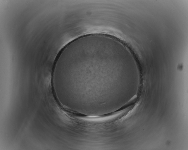 X0000101091505200807031714