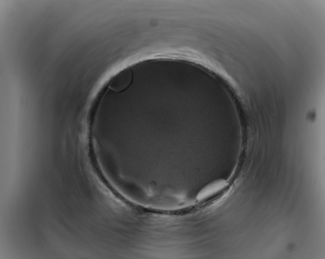 X0000101091506200807031714