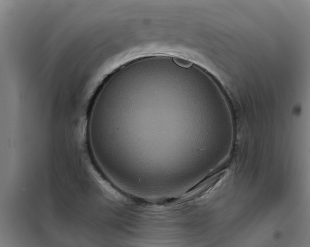 X0000101091507200807031714