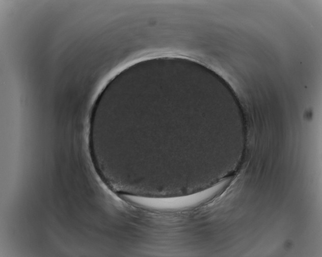 X0000101091508200807031714