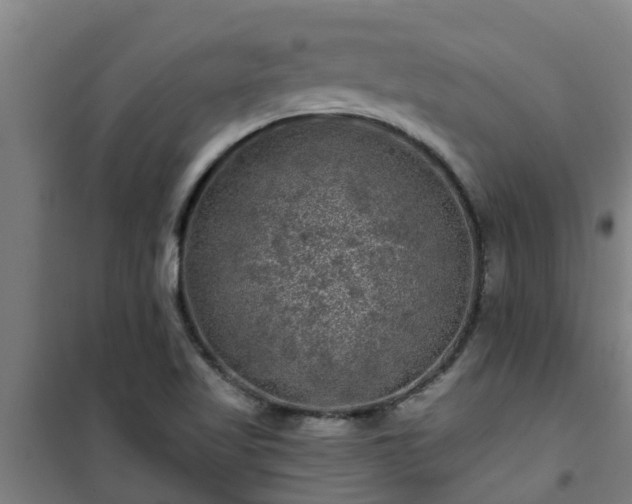 X0000101091509200807031714