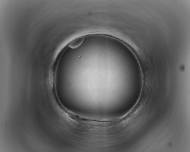 X0000101091510200807031714