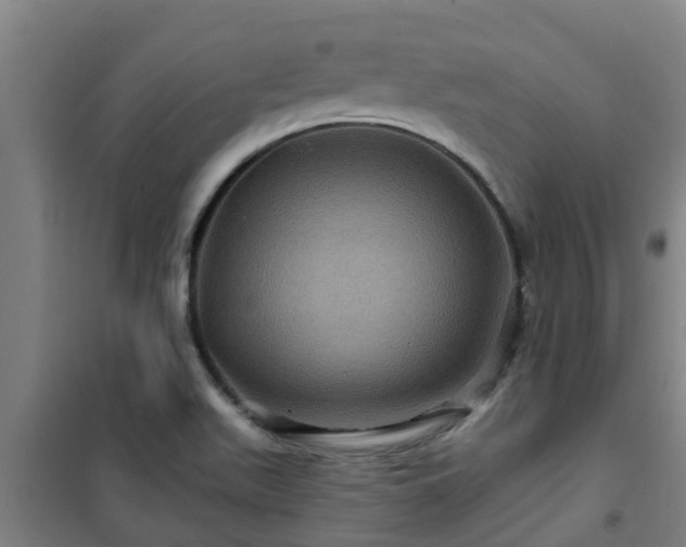 X0000101091511200807031714