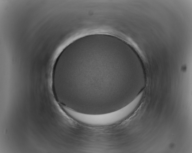 X0000101091512200807031714