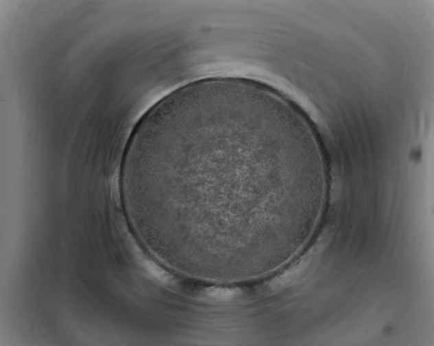 X0000101091513200807031714