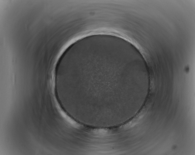 X0000101091515200807031714