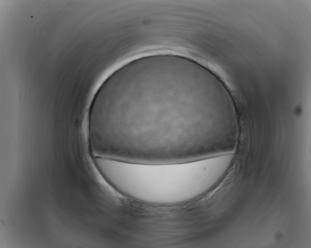 X0000101091516200807031714