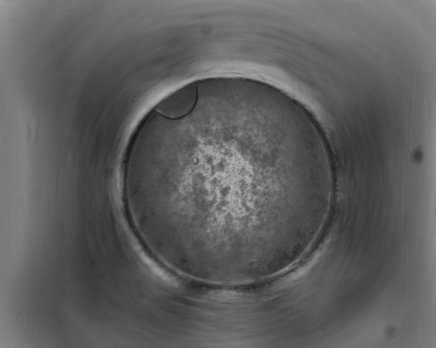 X0000101091517200807031714