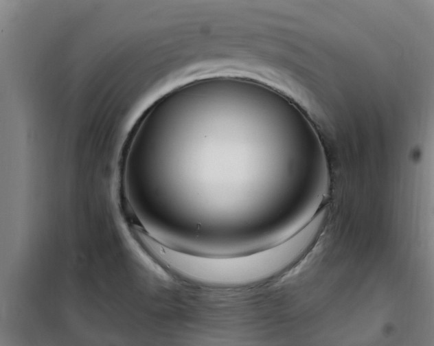 X0000101091518200807031714