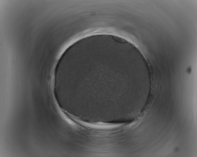 X0000101091519200807031714