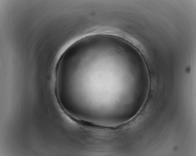 X0000101091520200807031714