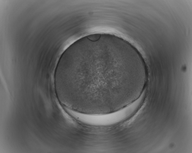 X0000101091521200807031714