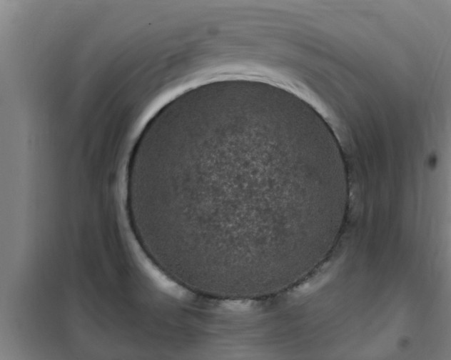 X0000101091523200807031714