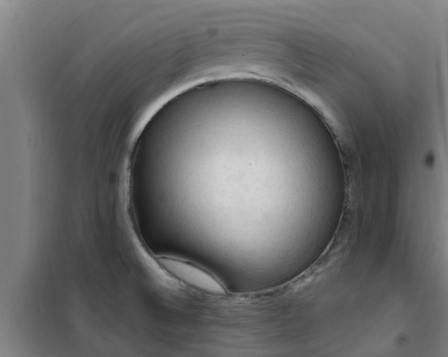 X0000101091524200807031714