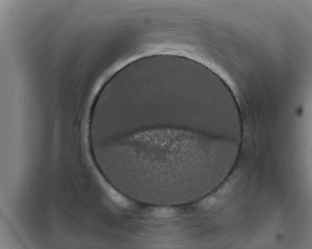 X0000101091525200807031714