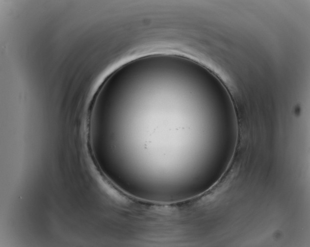 X0000101091526200807031714