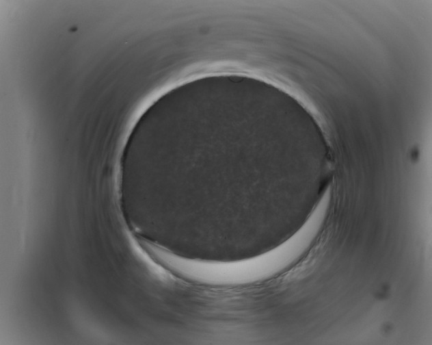 X0000101091527200807031714