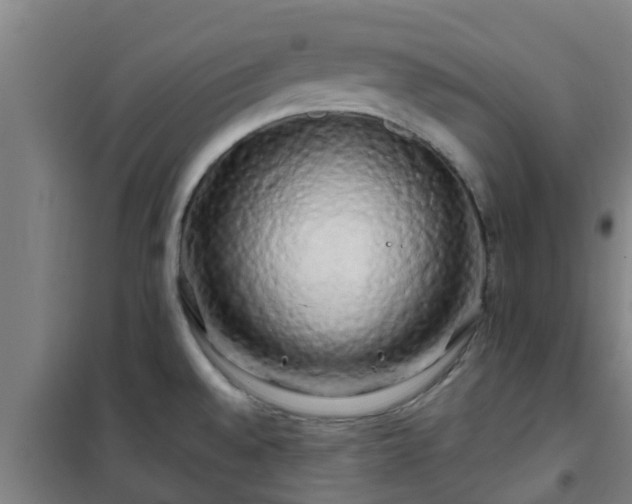 X0000101091528200807031714