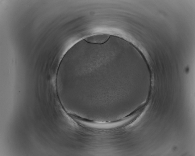 X0000101091529200807031714