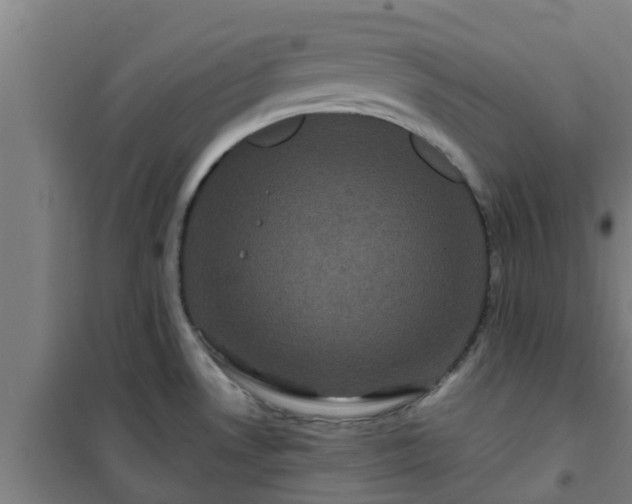 X0000101091530200807031714