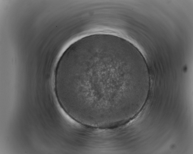 X0000101091531200807031714