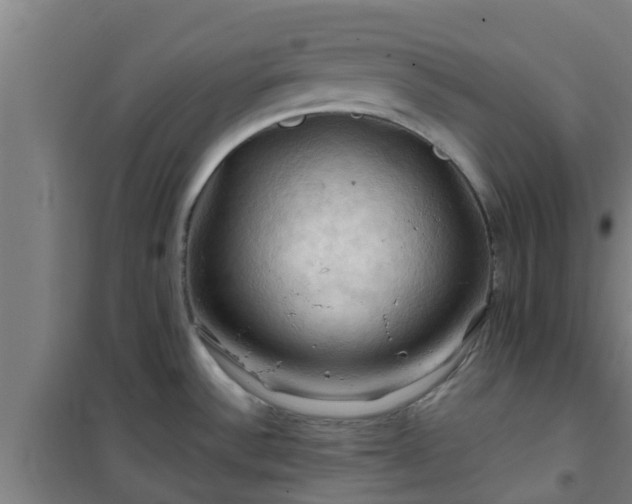 X0000101091532200807031714